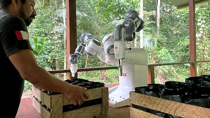 Un robot ajută la reîmpădurirea Amazonului: cum contribuie la combaterea încălzirii globale