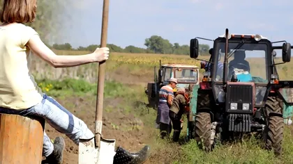 Ce descoperă în pământ tot mai mulți fermieri atunci când ară. E dezastruos: ”Nimeni nu vrea să le ia nici gratis”