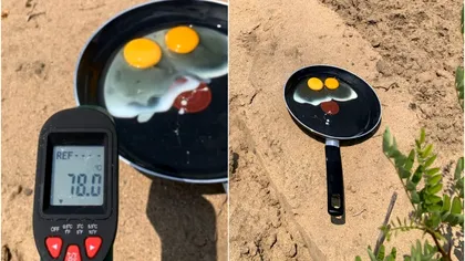 Experimentul făcut de un român. Ouă prăjite în soare în doar 3 minute. Semnal de alarmă privind deșertificarea din Oltenia