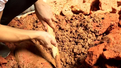 Secretul de 100 de ani îngropat într-un parc. Oamenilor de știință nu le-a venit să creadă. ”Legenda era adevărată”