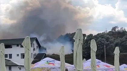 Incendiu pe litoral. Flăcările au izbucnit lângă o plajă din Eforie Sud. Video