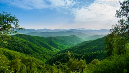 Soluția ”minune” pentru defrișările ilegale din România, s-a schimbat legea: ce se întâmplă cu drumurile forestiere, cu jandarmii