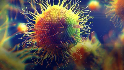 Virusuri ciudat de mari cu brațe și cozi au fost găsite în această țară: cât de periculoase sunt, conform cercetătorilor