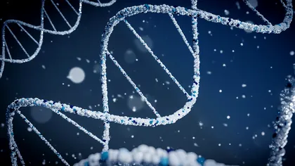 A făcut un test ADN ca să se distreze, dar a regretat amarnic. ”Am aflat că tot ce știam despre familia mea era o minciună”