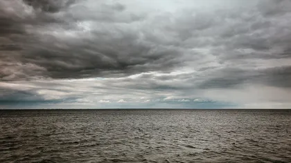 Alertă de extincție, premieră în 70 de ani. Animalul marin ce este pe cale de dispariție