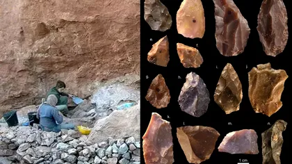 Cele mai vechi oase umane. Unde au fost descoperite și ce detalii au ieșit la iveală