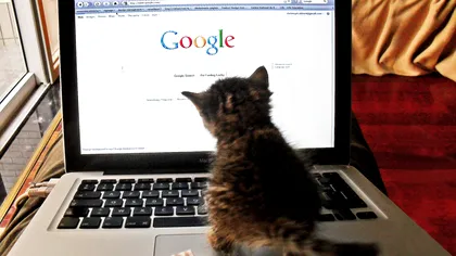 Cel mai mare prieten și dușman al omului, în același timp: ce nu știai despre Google, motorul de căutare care te ajută, dar te și încurcă