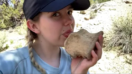 De ce ling geologii rocile pe care le analizează: Explicația neobișnuită a cercetătorilor VIDEO