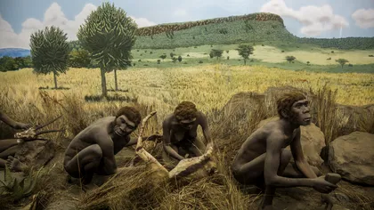 Descoperire uimitoare a oamenilor de ștință. Specia anterioară omului care ne-a lăsat o moștenire prețioasă