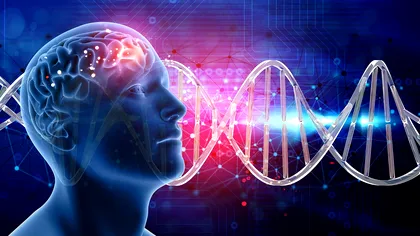 Descoperirea medicală ce ar putea preveni demența. Obiceiurile care trebuie să fie evitate 