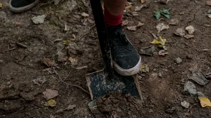 O comoară, descoperită întâmplător în pământ. ”Este cel mai nebunesc lucru din toate timpurile” Video