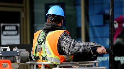 Peste 60.000 de locuri de muncă vacante în România, cu sau fără studii. Ce caută angajatorii