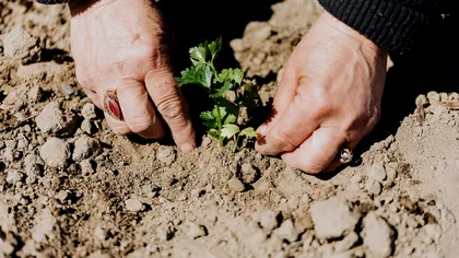 Secretul uimitor descoperit de cercetători pentru 60% dintre viețuitoarele Pământului. Oamenii, detronați