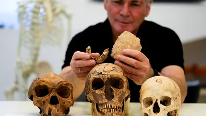 Descoperire uluitoare: oamenii de știință au găsit un craniu care nu aparține niciunei ființe cunoscute