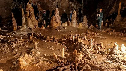 VIDEO Structurile ciudate, descoperite într-o peșteră: Oamenii de Neanderthal, mai evoluați decât credeau cercetătorii