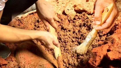 Descoperirea fascinantă de la Oradea i-a uimit pe arheologi. Avea sute de inele de aur doar în păr