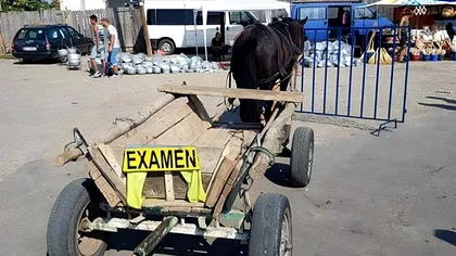 Circulația cu căruța în România - reguli, condiții, ce trebuie să știi dacă vrei să mergi pe drumurile publice