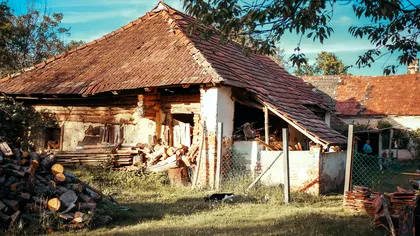 Descoperire terifiantă făcută de o femeie în propria curte. A fost nevoie de intervenția autorităților