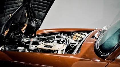 Descoperire terifiantă sub capota unei mașini. Ce a găsit o tânără când a vrut să pună ulei