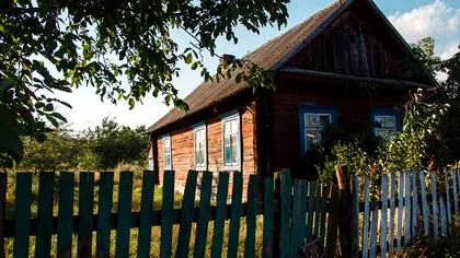 Descoperire uimitoare în grădina unei case. „Am ajuns să dăm tot pământul la o parte” - Foto