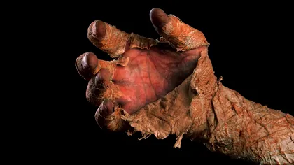 ”Mumia” din Bulgaria care i-a uluit pe cercetători. Ce s-a întâmplat cu trupul unui bărbat, la nici 16 zile după decesul acestuia