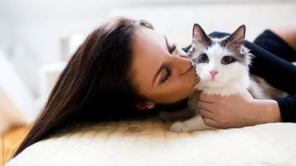 De ce nu ar fi bine să pupăm pisicile și câinii. Studiul care te va întrista, dacă ești iubitor de animale