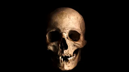 Omenirea, pe cale de dispariție: Ce arată cel mai recent studiu despre specia noastră