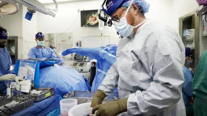 Transplantul de rinichi, de la porc la om: ce spun cercetătorii despre operația viitorului