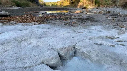 Descoperire de senzație realizată de cercetători: Urmele de dinozauri ”pierdute” pentru milioane de ani