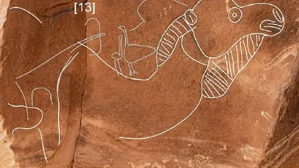 Imaginile unor cămile în mărime naturală i-au uluit pe specialiști. Cine le-a făcut, cât de vechi sunt