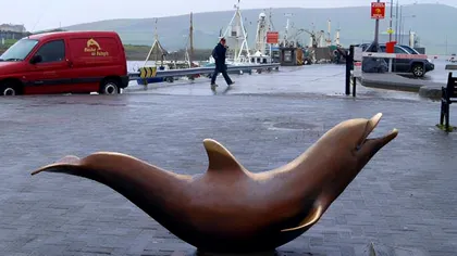 Singurul animal din lume care se 