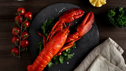 Descoperire uimitoare. Un homar de culoare neobișnuită, găsit de pescari. „Șansele sunt de una la două milioane” - Foto