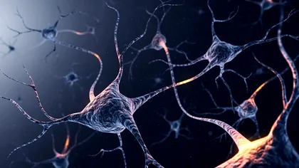 Descoperire incredibilă în știință: Ce au reușit cercetătorii să facă pentru pacienții cu probleme cerebrale