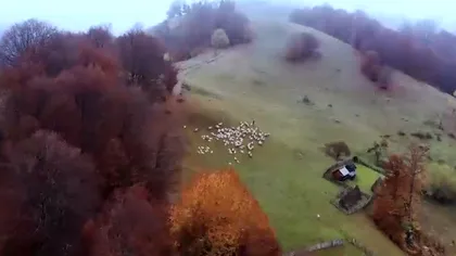 Cum este prezentată România în clipurile difuzate de BBC. Imagini spectaculoase. Video