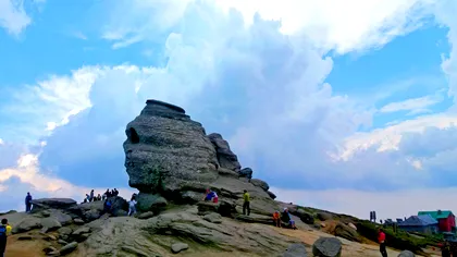 Minunile din Munții Bucegi: Descoperirea celor mai neobișnuite animale alpine