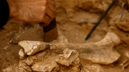 Descoperire arheologică importantă în România: Unde au fost găsite o lance dacică și o așezare civilă romană