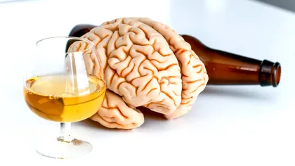 Efectul incredibil pe care-l are alcoolul asupra creierului tău: Ce arată cele mai recente studii e îngrijorător
