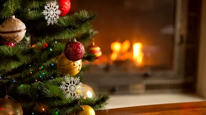 Povestea pomului de Crăciun. De unde a început totul, de ce creștinismul nu are nicio legătură