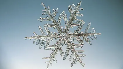 Cel mai mare fulg de nea era lat ca o pizza mare: Cât de mare poate ajunge unul, conform cercetătorilor