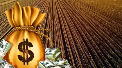 Cât costă pământul în România, pe județe. Cât plătești pe un hectar de teren arabil, pășune