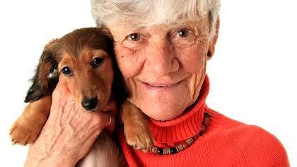 Ce beneficii aduc animalele de companie în viețile celor bătrâni și singuri: Studiul care îți arată de ce este bine să ai un câine sau o pisică