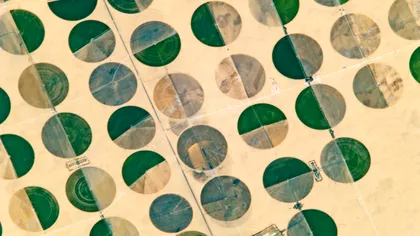 Ce sunt cercurile verzi și misterioase din deșertul Egiptului, de fapt. Când oamenii se comportă ca extratereștrii [VIDEO]