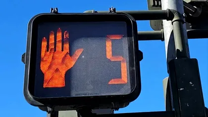 De ce avem exact cinci degete și cum ne-a modelat ADN-ul