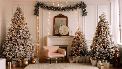 O nouă viață pentru pomii de Crăciun, după sărbători. Inițiativa, apreciată de specialiștii de mediu