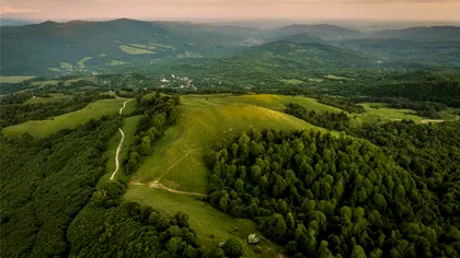 Pădurea poveștilor nemuritoare: Cum a ajuns Nucșoara, o comună din România, în New York Times