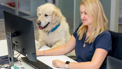 Birourile pet-friendly sunt tot mai răspândite. Care sunt principalele beneficii ale acestui concept? [P]