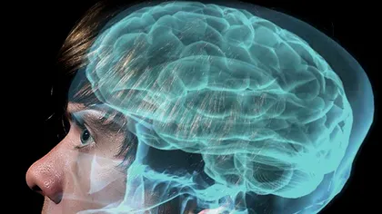 Avem un al șaselea simț. Care este acesta și cât de vital ar fi pentru sănătate