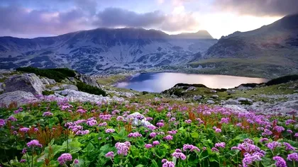 7 parcuri din România pe care trebuie să le vizitezi neapărat. Peisajele sunt spectaculoase