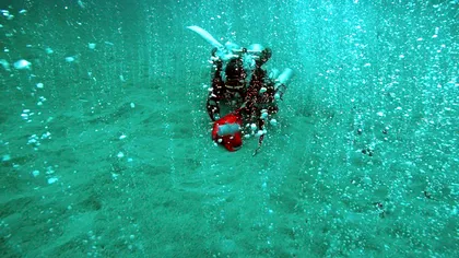 O lume ascunsă cu creaturi nemaivăzute, descoperită în adâncurile mării din jurul Insulei Paștelui