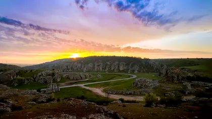 Animalul unic în lume, care trăiește doar în România și Bulgaria, dar este ucis fără milă de oameni